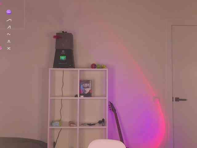Lirras webcam