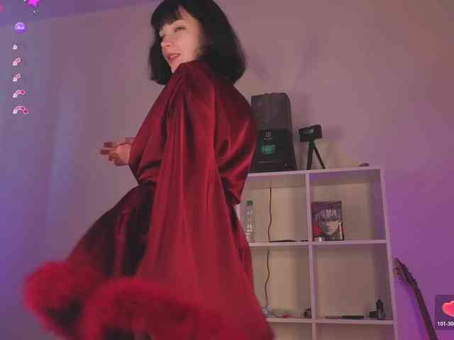 Lirras webcam