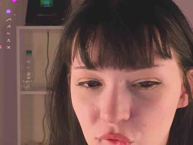 Lirras webcam