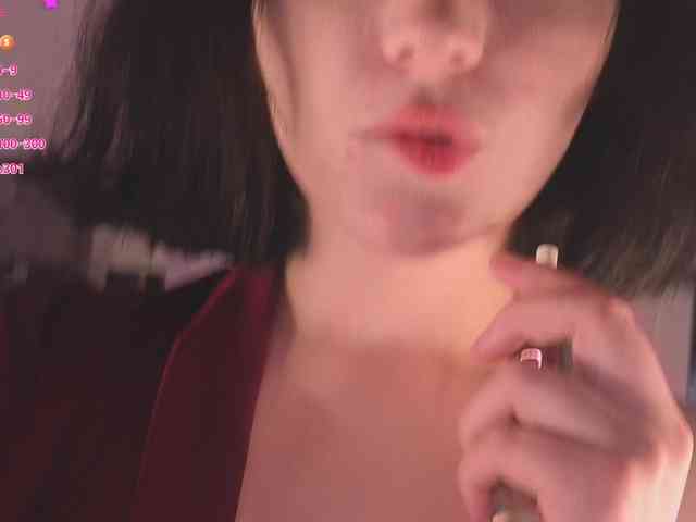 Lirras webcam