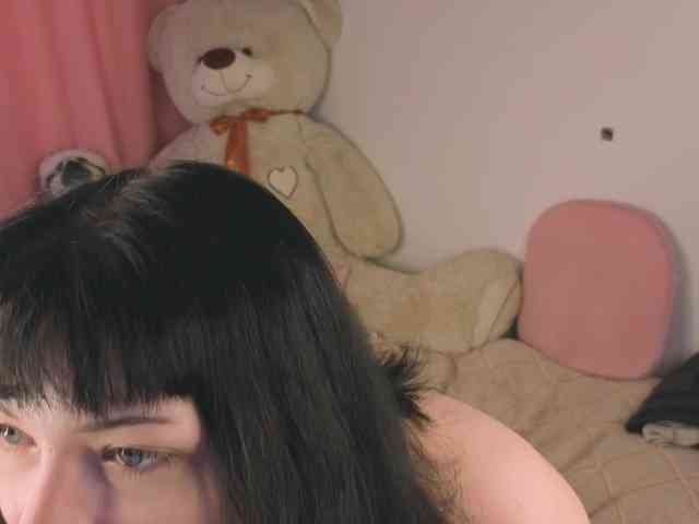 Lirras webcam