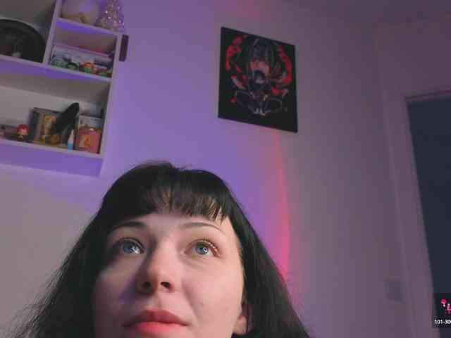 Lirras webcam