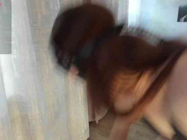 Lisamilf webcam
