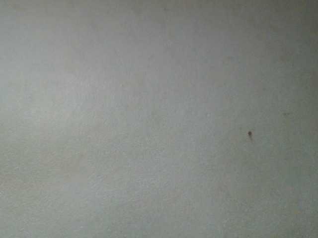 Barbie12 live cam
