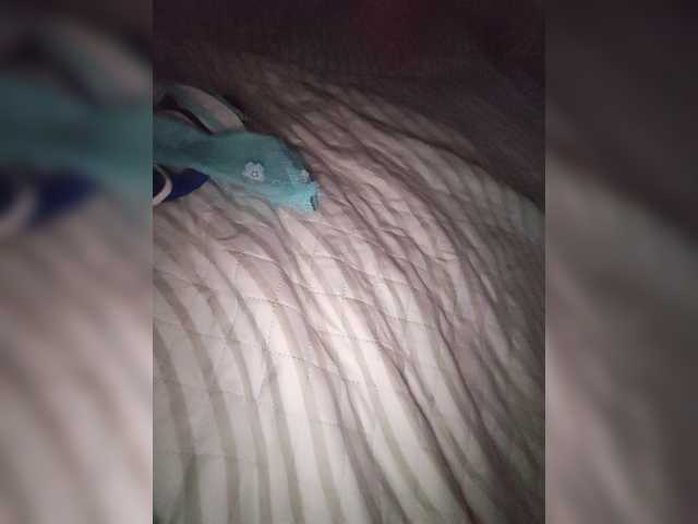 tenderi