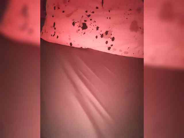 IrI webcam