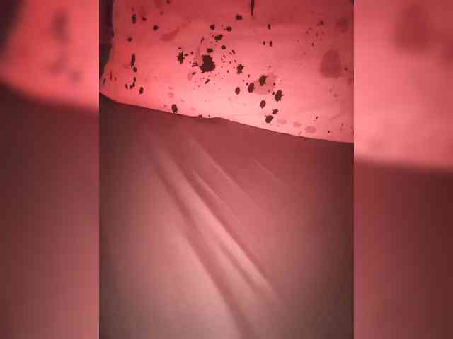 IrI webcam