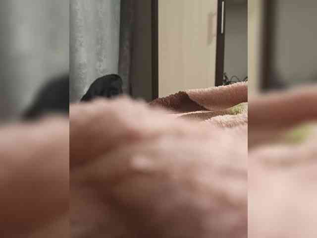 Crr8rYCNgYsBpTU