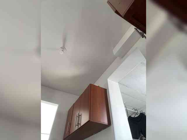sarayu- webcam