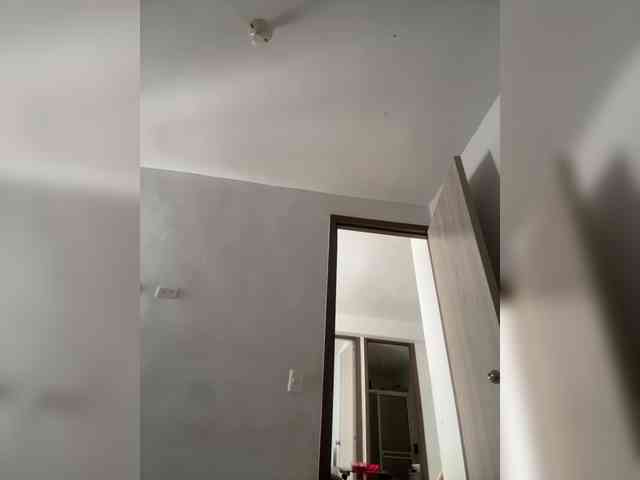 sarayu- webcam