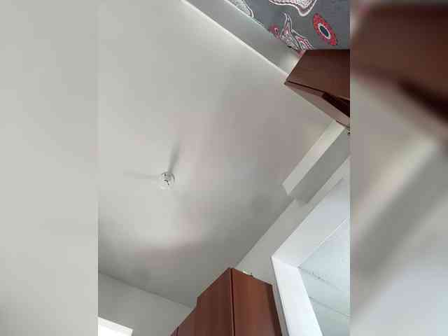 sarayu- webcam