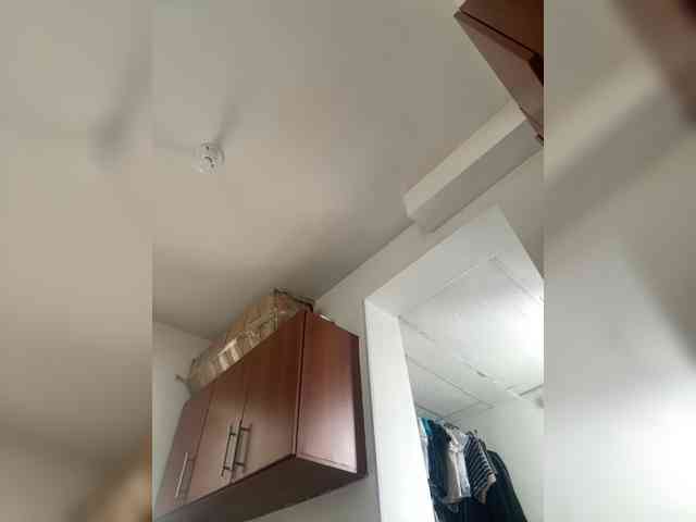 sarayu- webcam