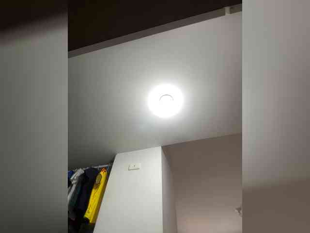 sarayu- webcam