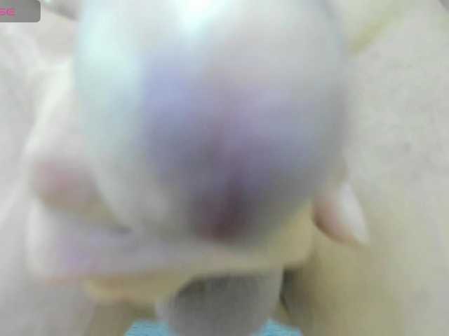 ShantaLaNatashia live webcam show