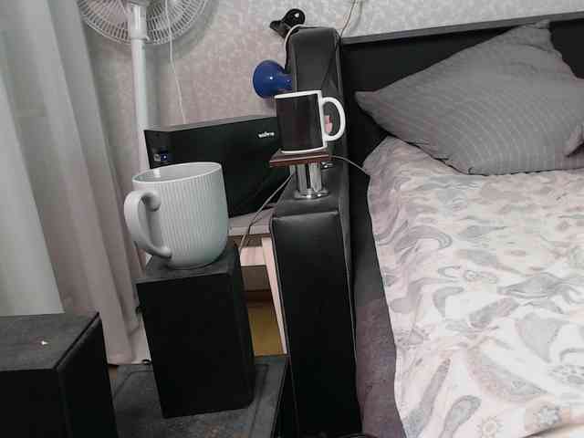 littleowlx webcam