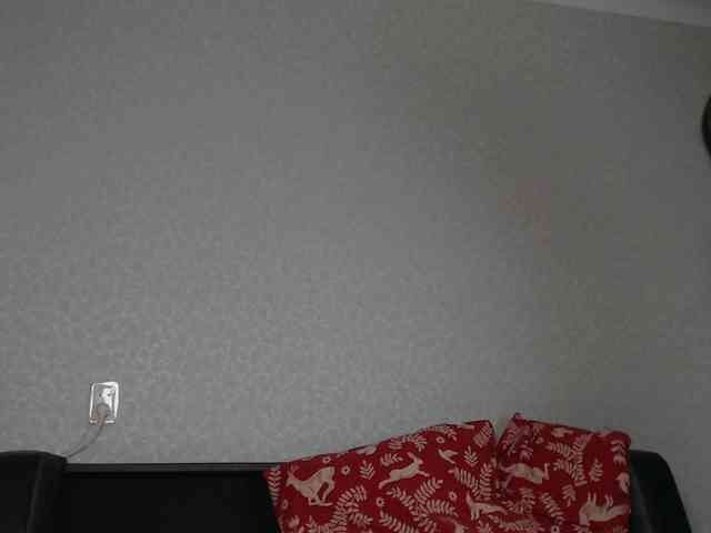 littleowlx webcam