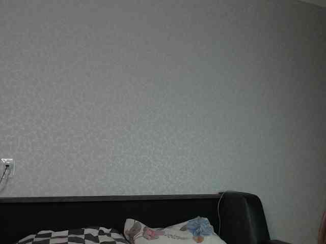 littleowlx webcam