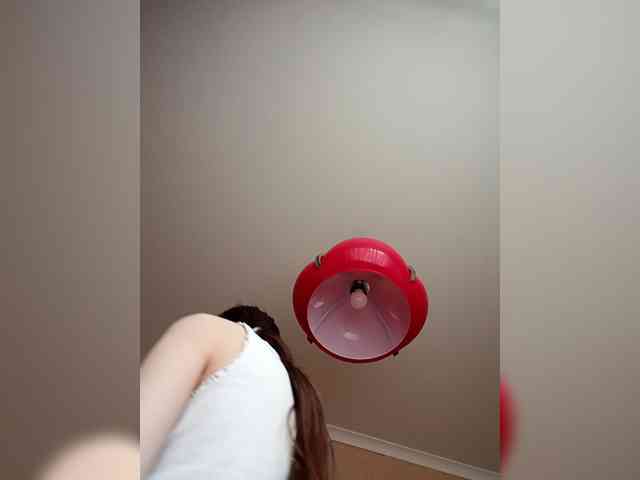 Model: littleowlx