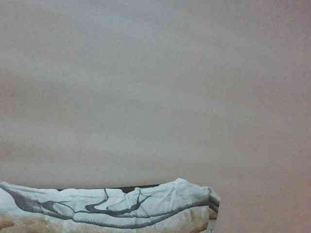 colourfulzany webcam