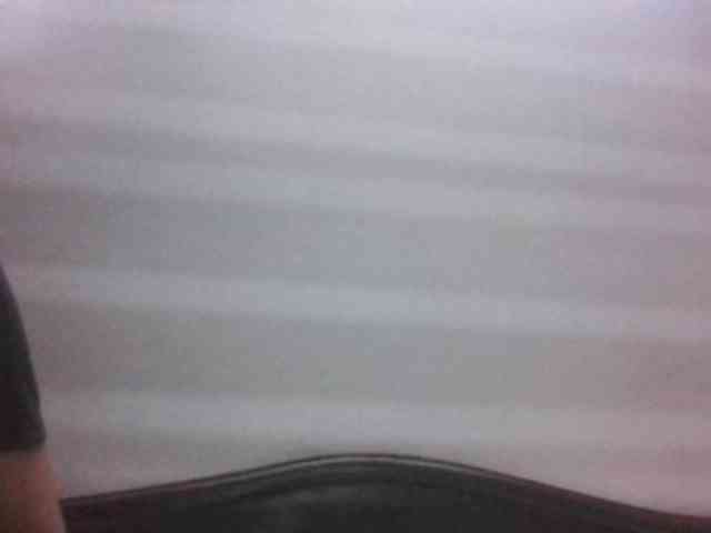colourfulzany webcam