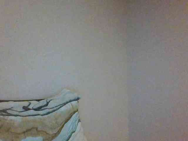 colourfulzany webcam