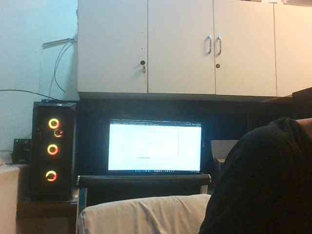 colourfulzany webcam