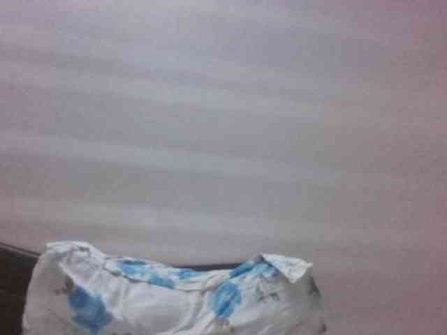 colourfulzany webcam