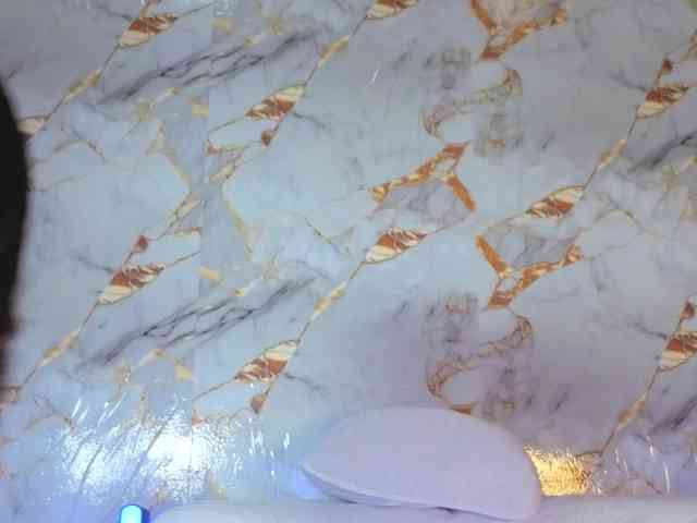 Criistal webcam