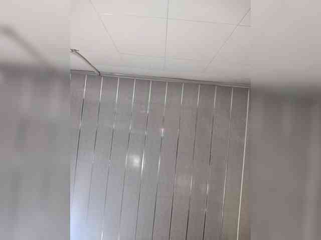 Criistal webcam