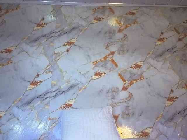Criistal webcam