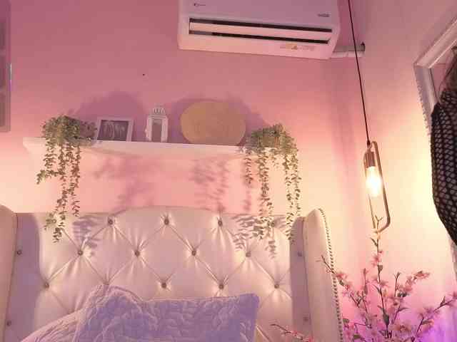 Criistal webcam
