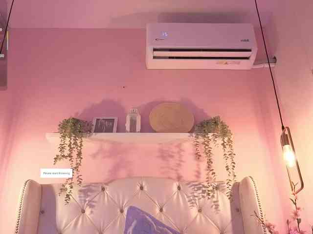 Criistal webcam