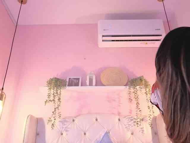 Criistal webcam