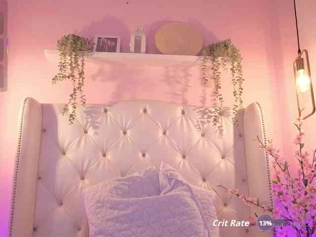 Criistal webcam