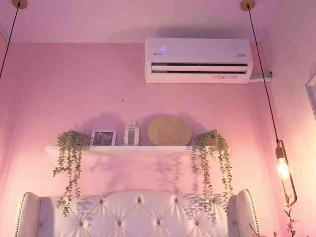 Criistal webcam