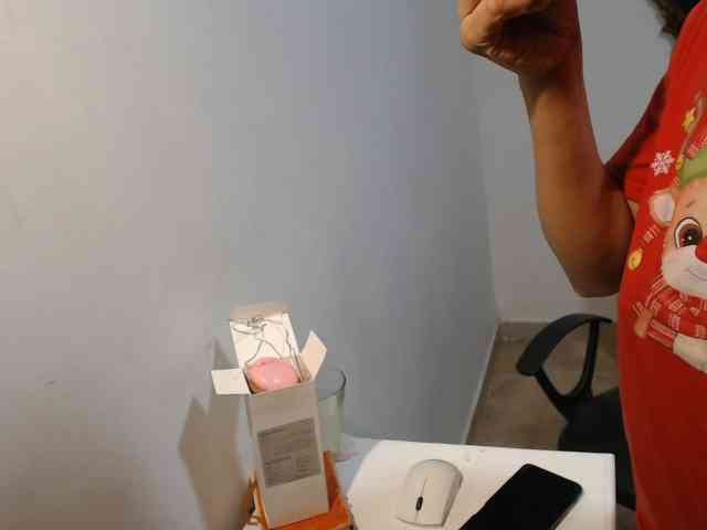 Melisager webcam