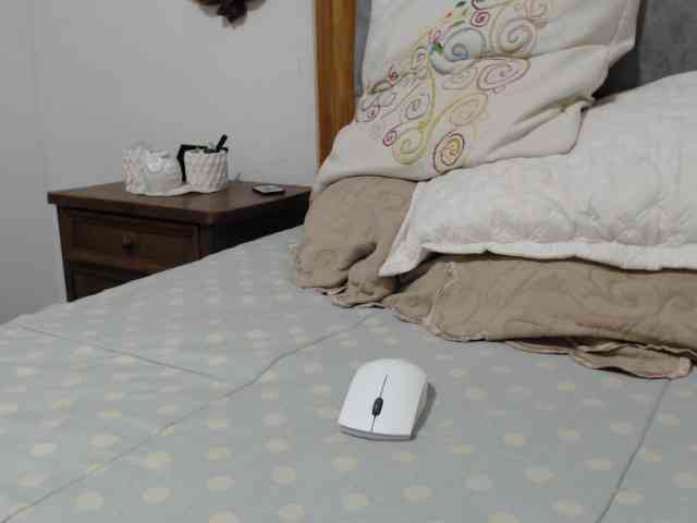 Melisager webcam