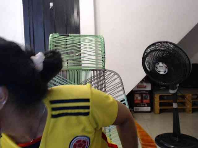 Melisager webcam