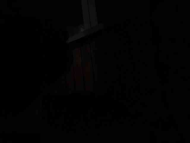 HolySinner webcam
