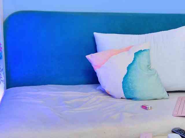 moon-cake webcam
