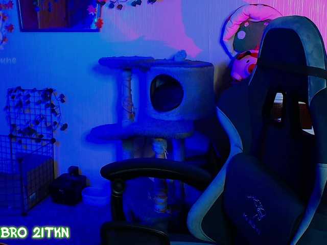 Tricky-Kitsune live cam on BongaCams