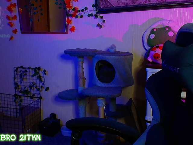 Tricky-Kitsune live cam on BongaCams