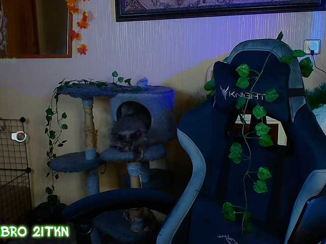 Tricky-Kitsune live cam on BongaCams