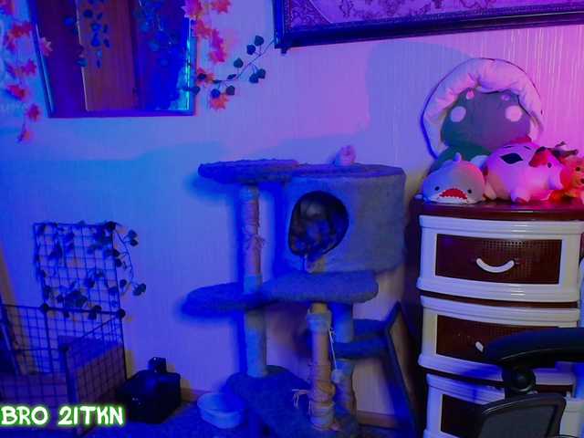 Tricky-Kitsune live cam on BongaCams