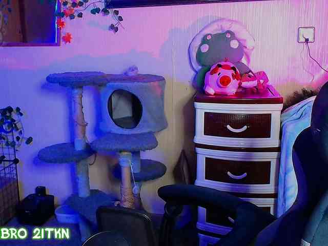 Tricky_Kitsune webcam
