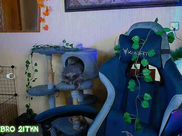 Tricky_Kitsune webcam
