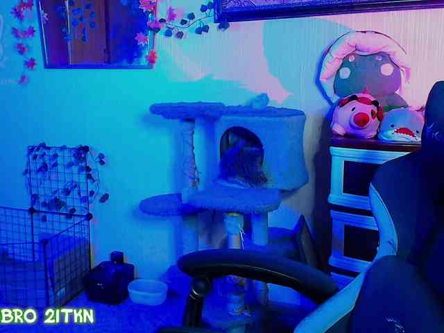 Tricky_Kitsune webcam