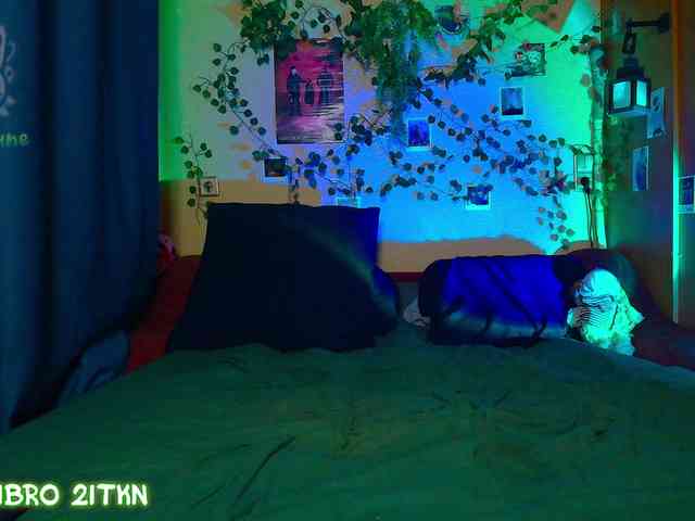 Tricky_Kitsune webcam