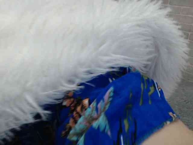sweetmaju
