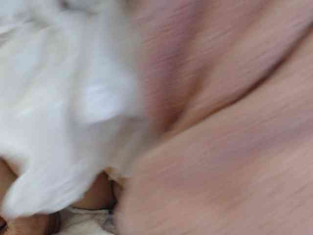 Modelo: sweetmaju